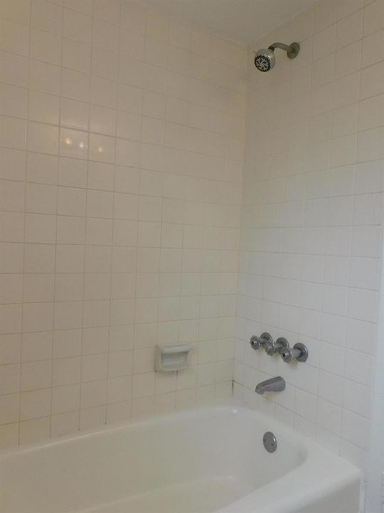 Shower tub combo