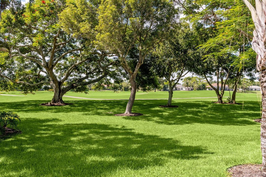 67-web-or-mls-A7405443