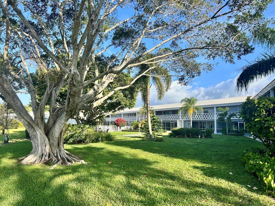 331 Tequesta dr 216