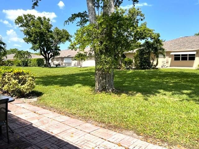 Back yard view 2