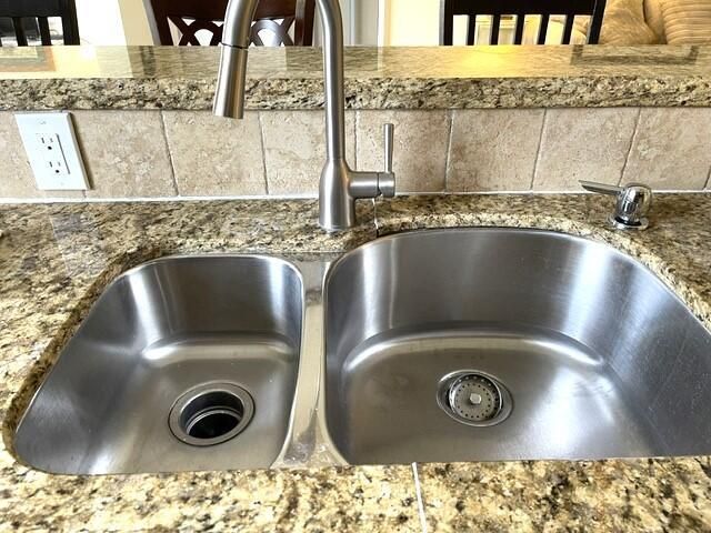 Dual SS sink and goose neck faucet