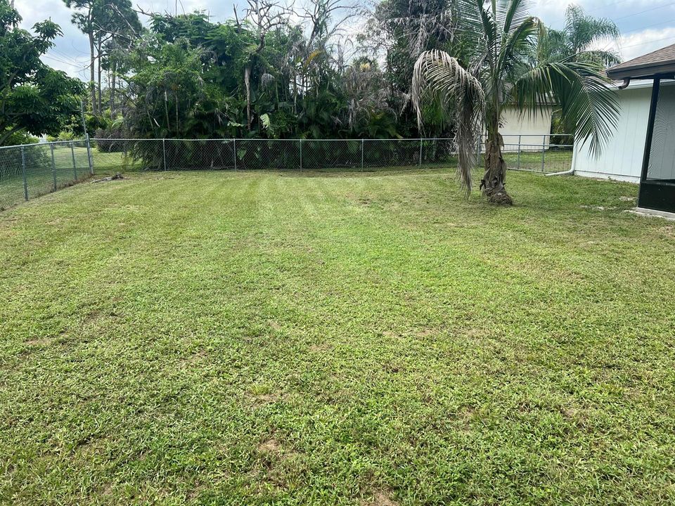Backyard