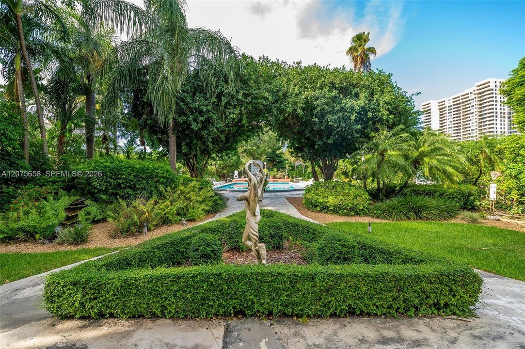 Back yard