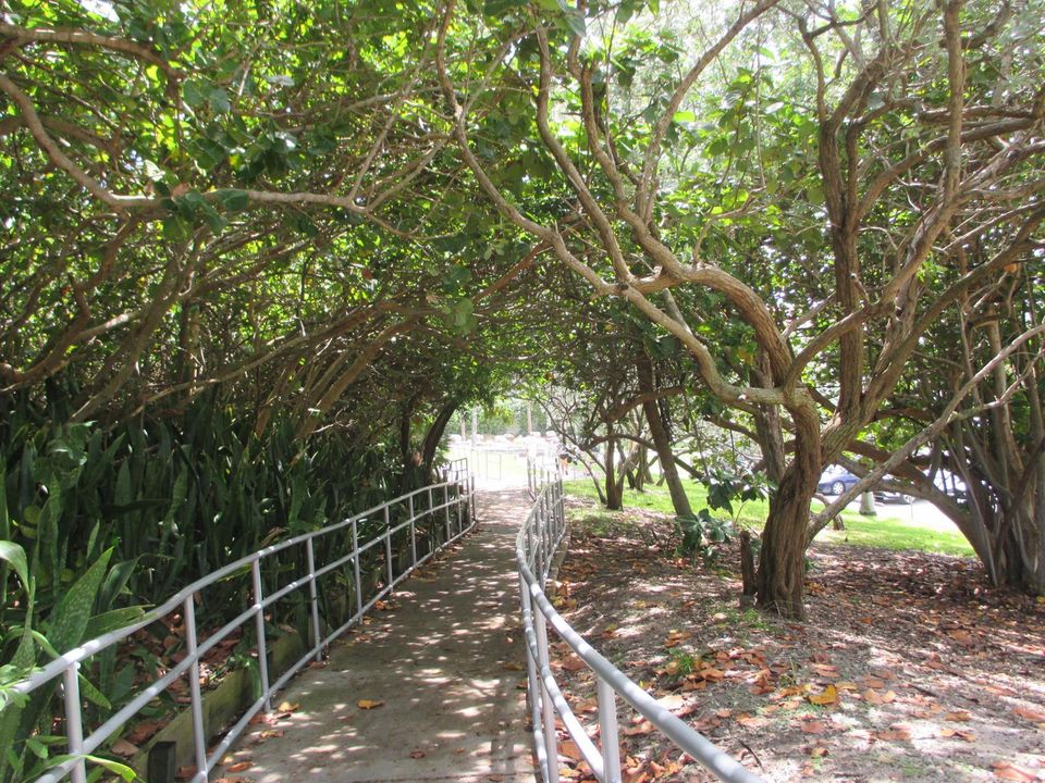Walkway to the Beach