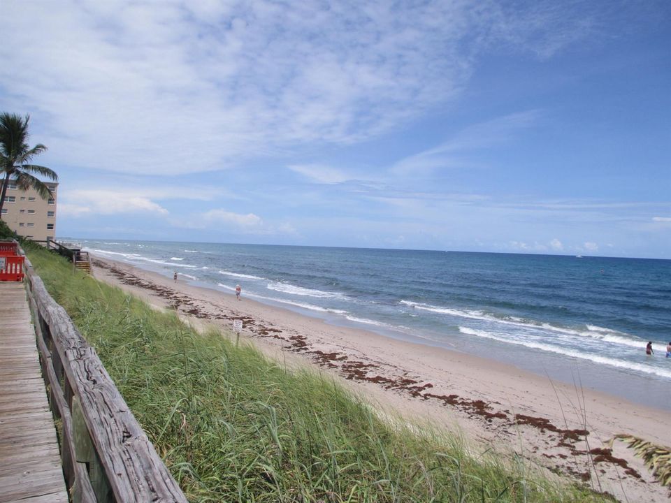 Public Beach