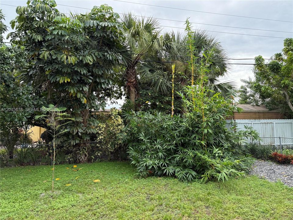 For Sale: $499,000 (3 beds, 2 baths, 999 Square Feet)