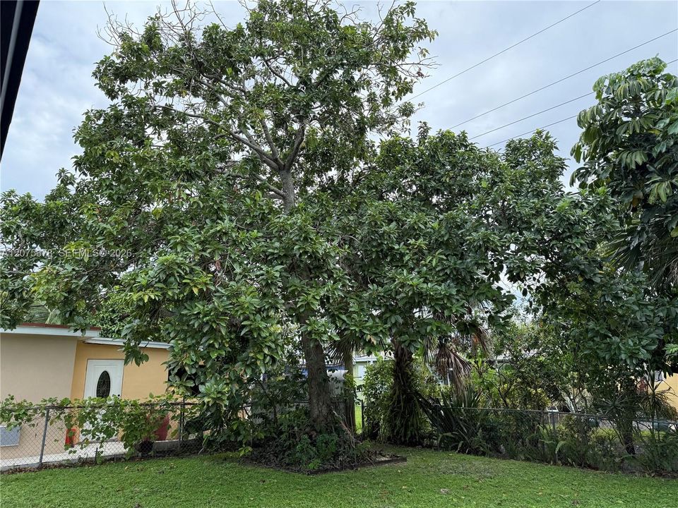 For Sale: $499,000 (3 beds, 2 baths, 999 Square Feet)