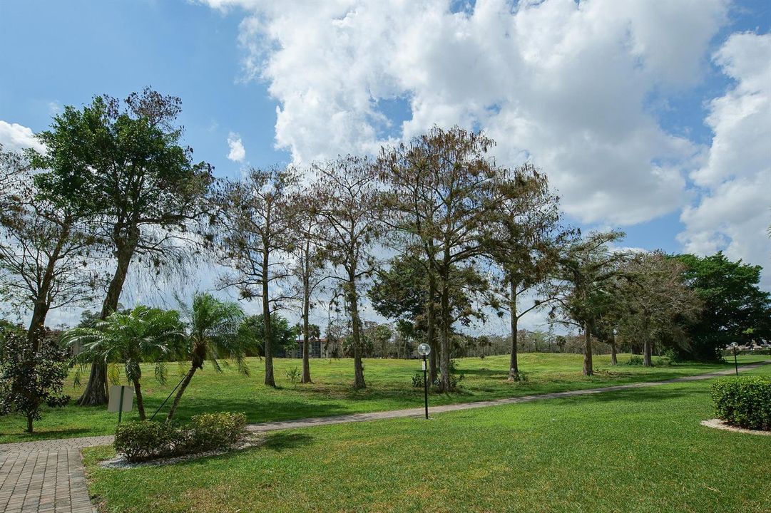 P1000254