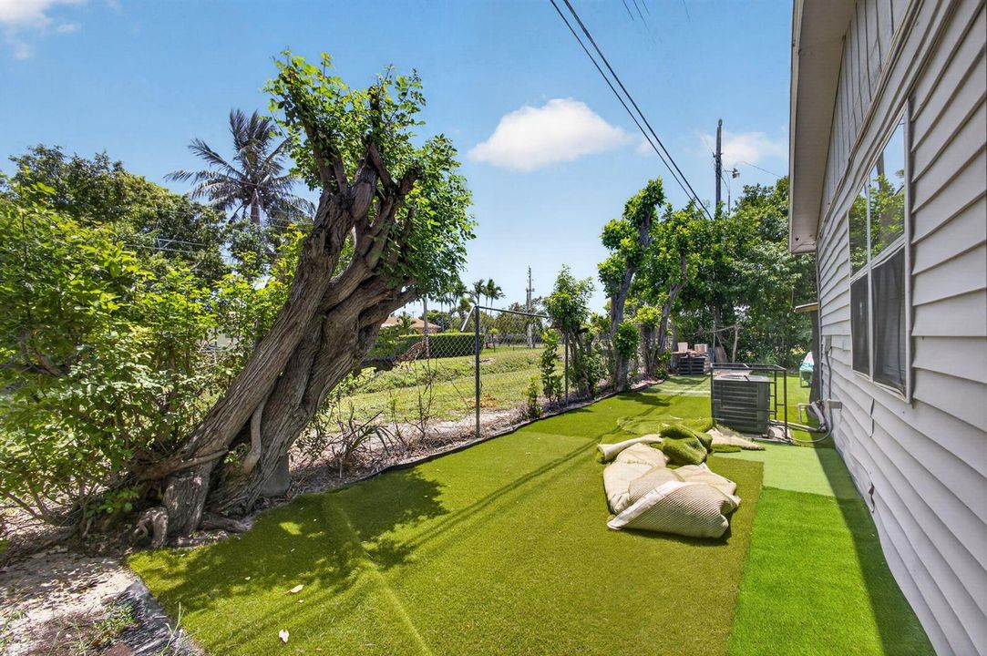 Yard