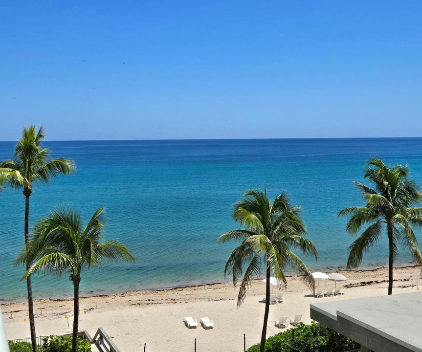 Calm Ocean View