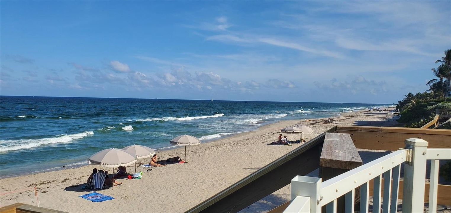 Oceanfront w/Beach Access