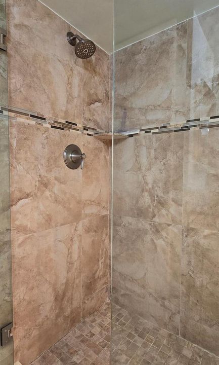 Primary Bathroom Shower