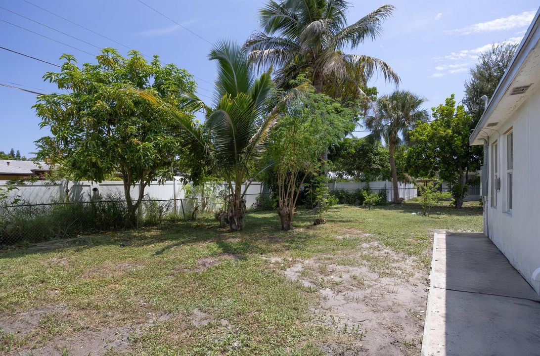 Back yard