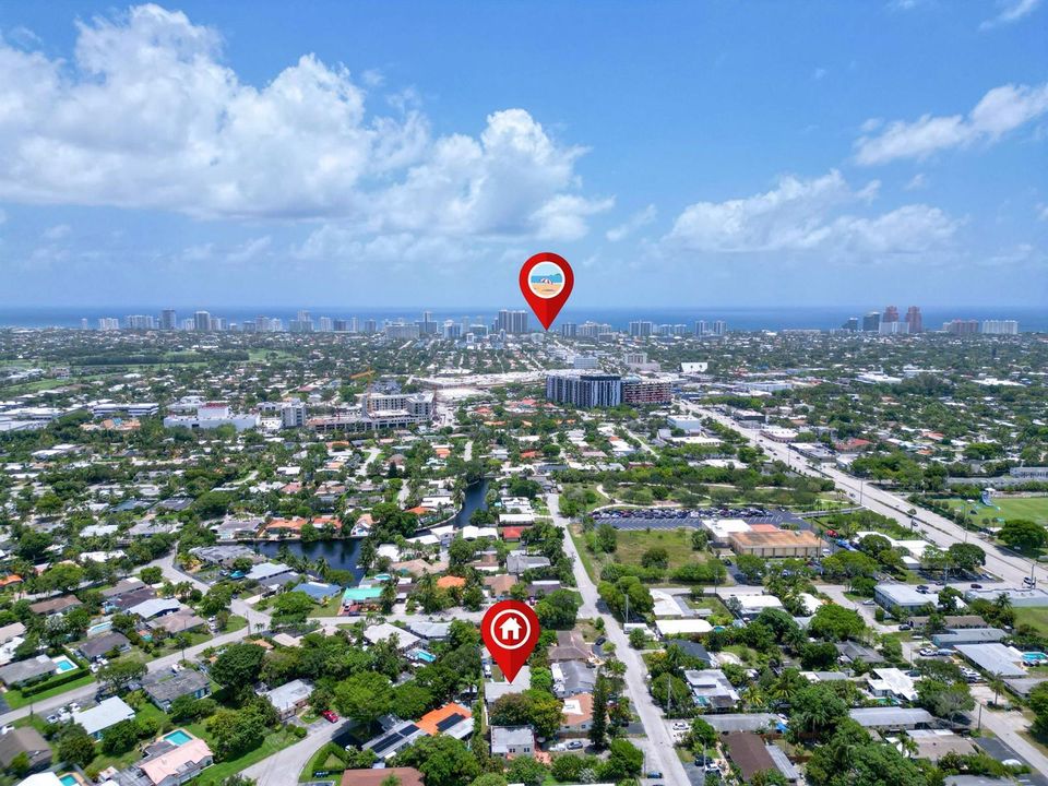 Drone View