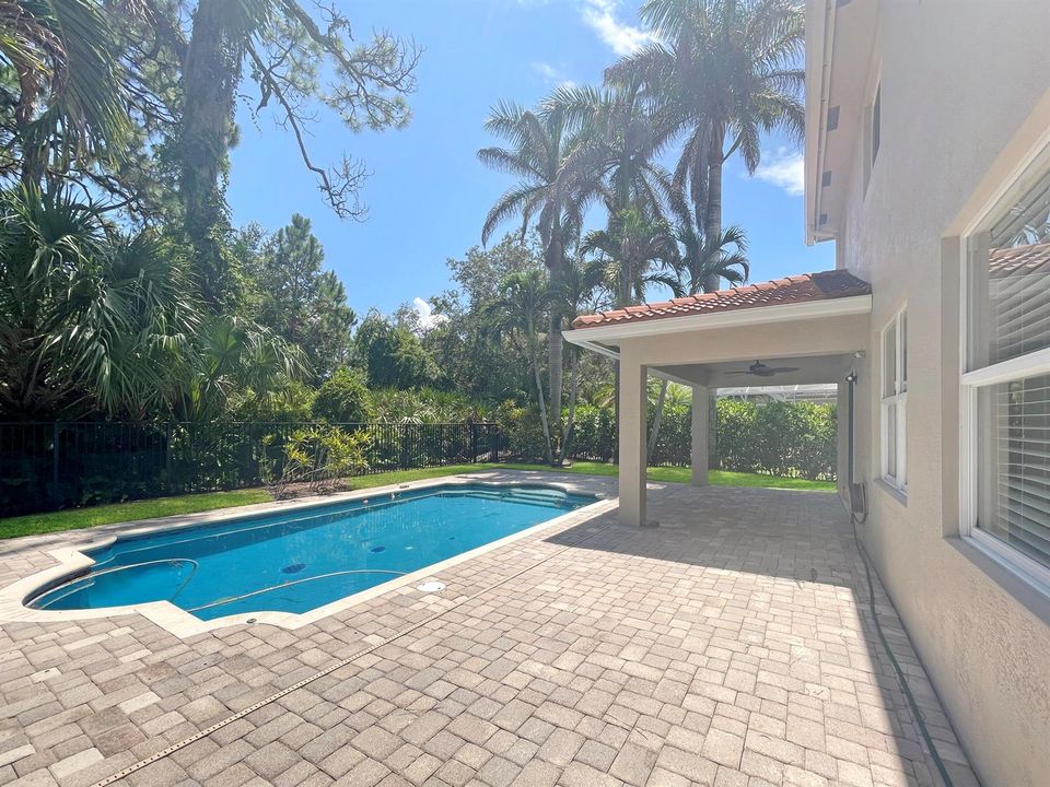 Pool & Paver Patio