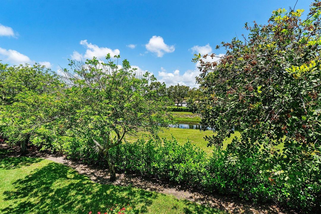 Pond View