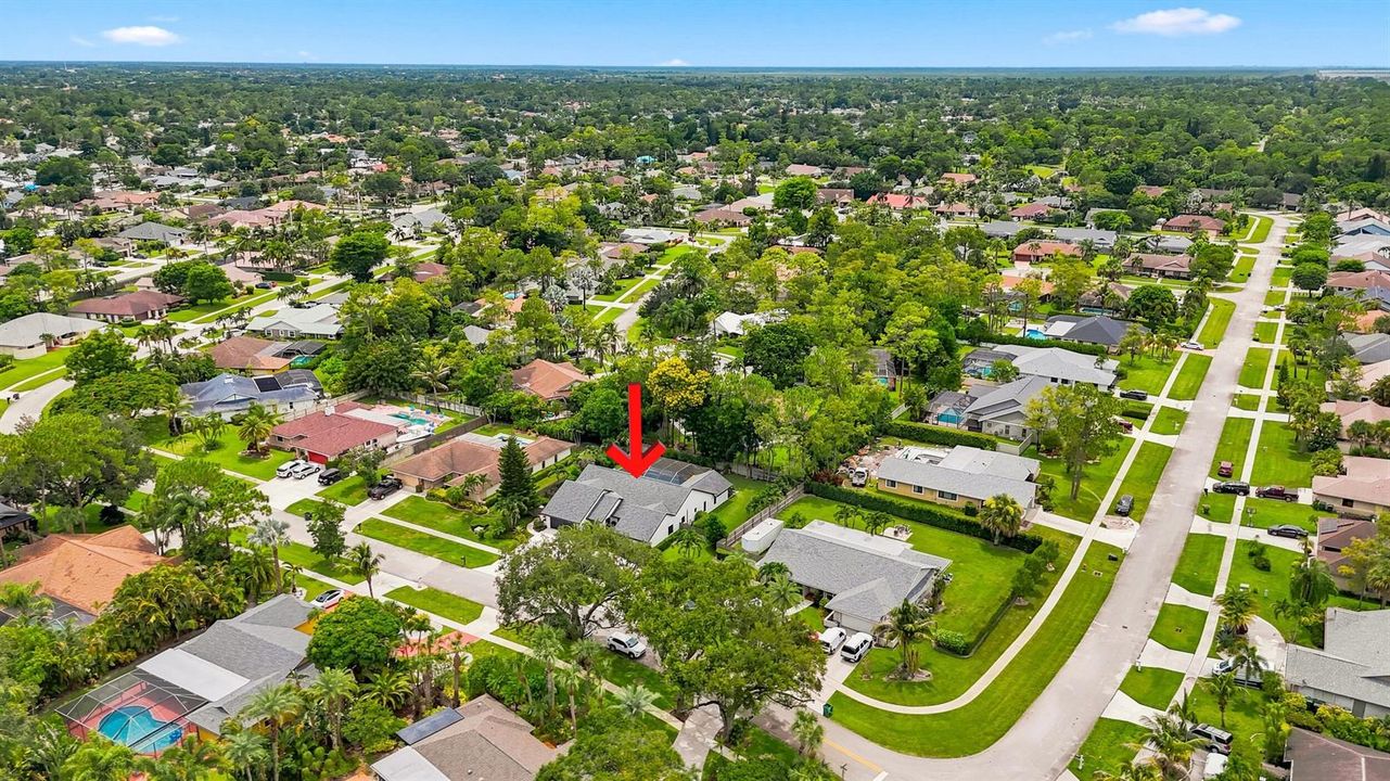 Neighborhood View