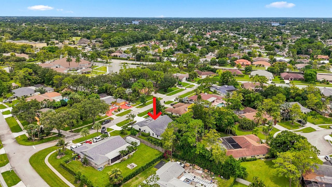 Neighborhood View