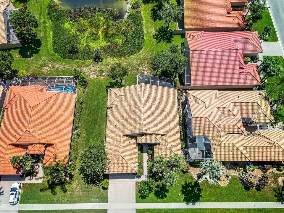 Aerial View of Backyard