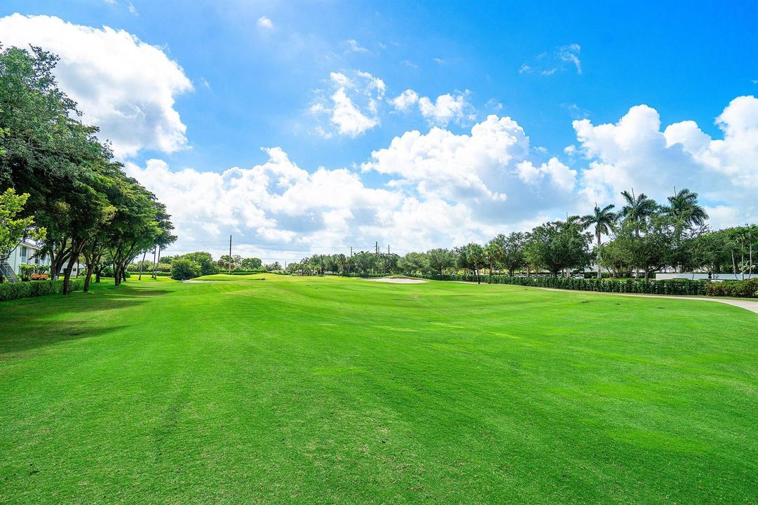Golf View