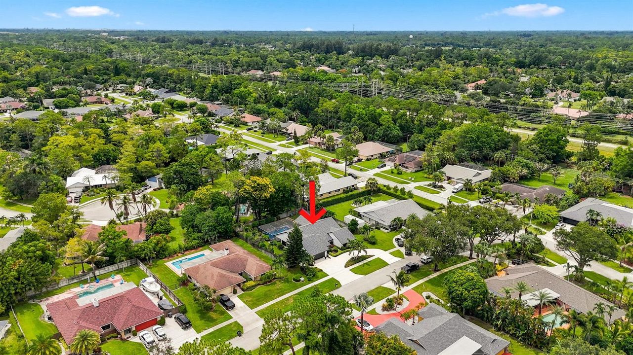 Neighborhood View