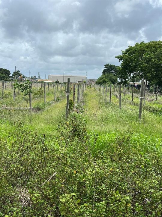 待售: $479,160 (38.50 acres)