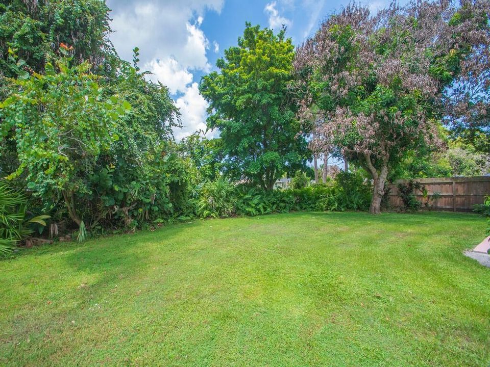 Yard