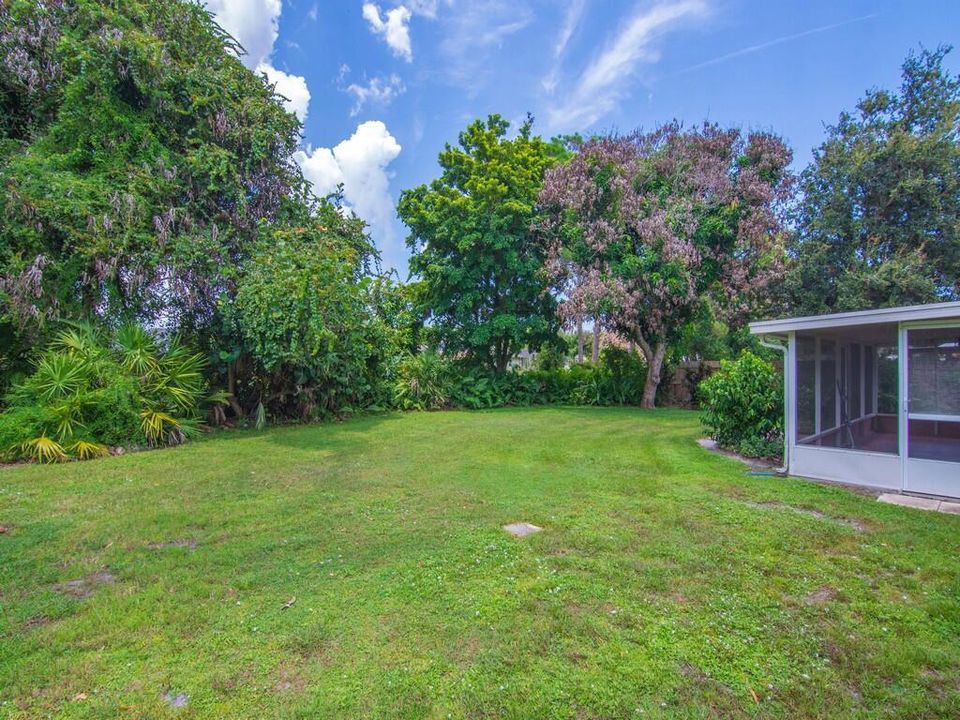 Yard