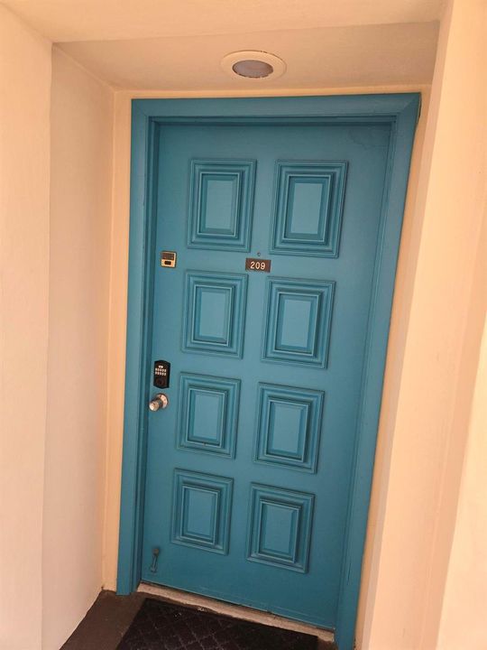 Door 209