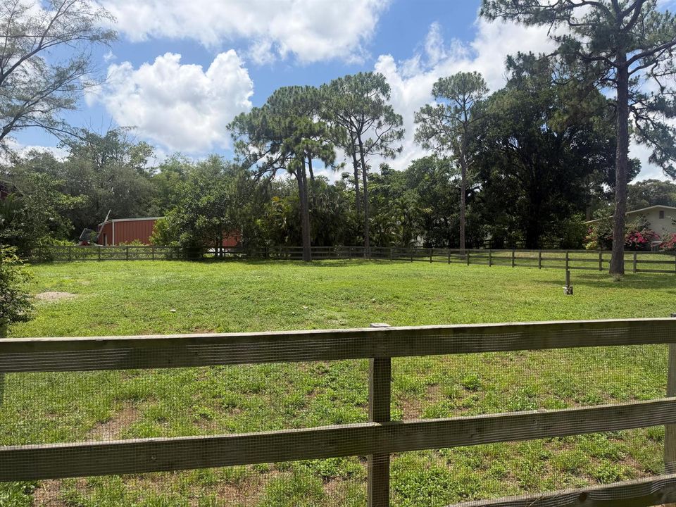 Yard