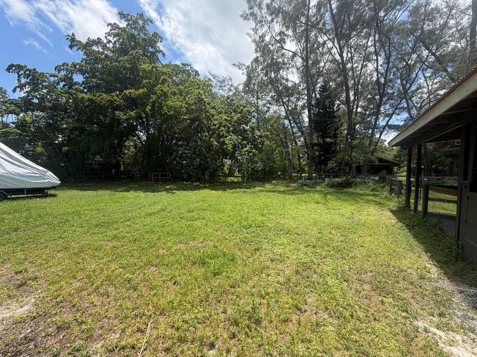 Yard