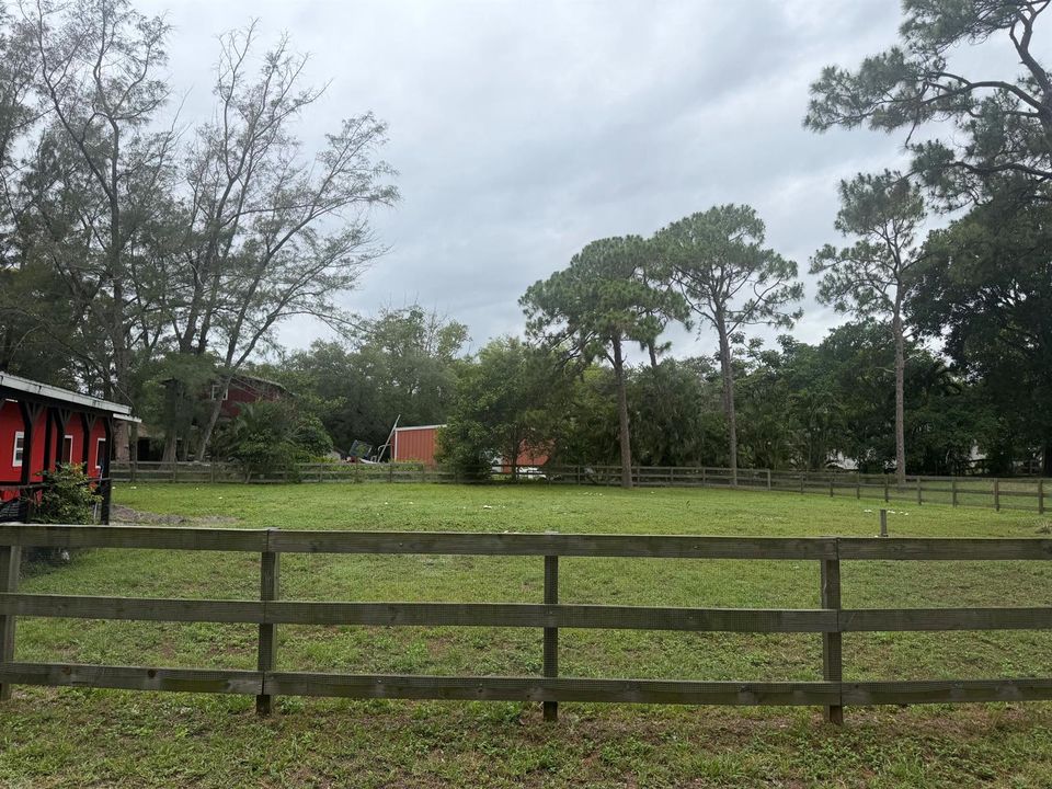 Yard