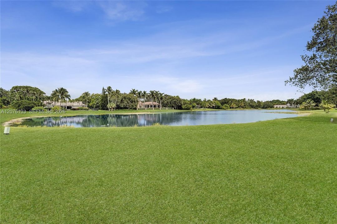 Lake view