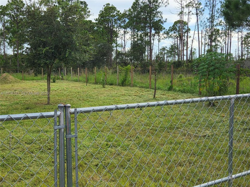 Along the fence