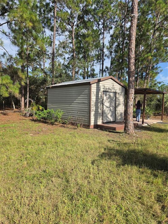 Shed