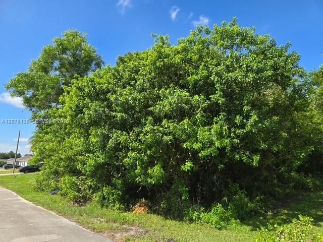 待售: $150,000 (0.23 acres)