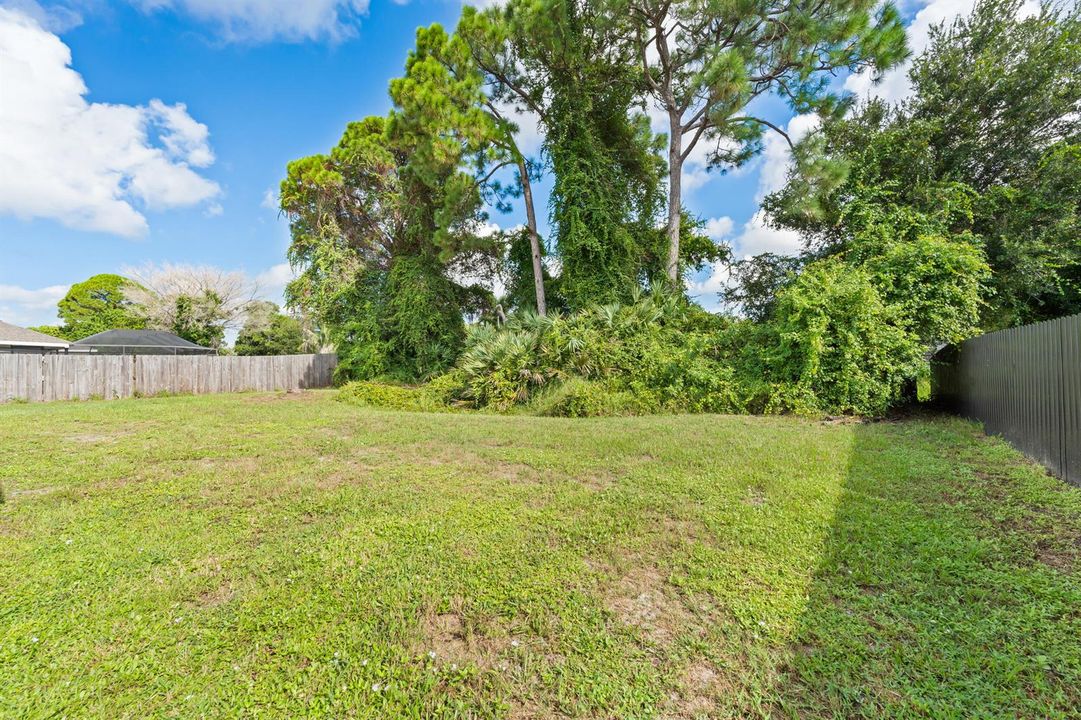 Backyard