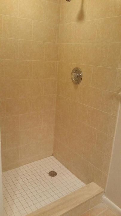 Master Bathroom Shower