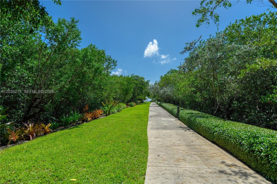 Beach Walkway
