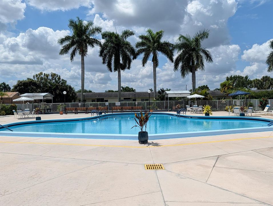 Social _ Pool area (3)