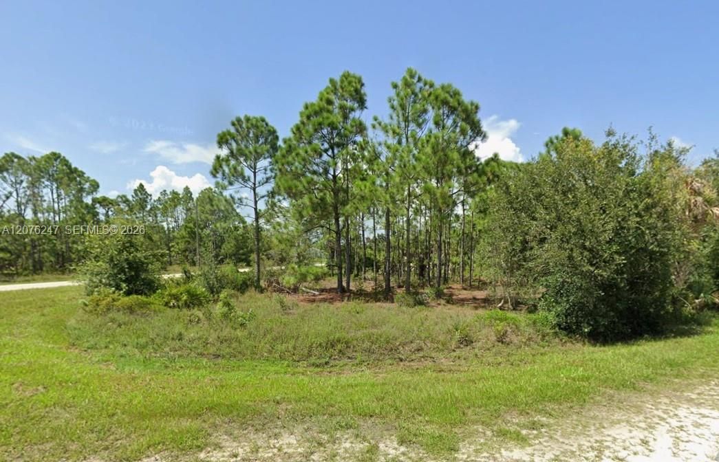 На продажу: $26,000 (10,018.00 acres)