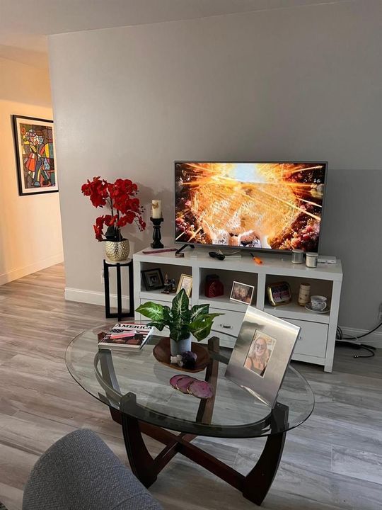 tv livia