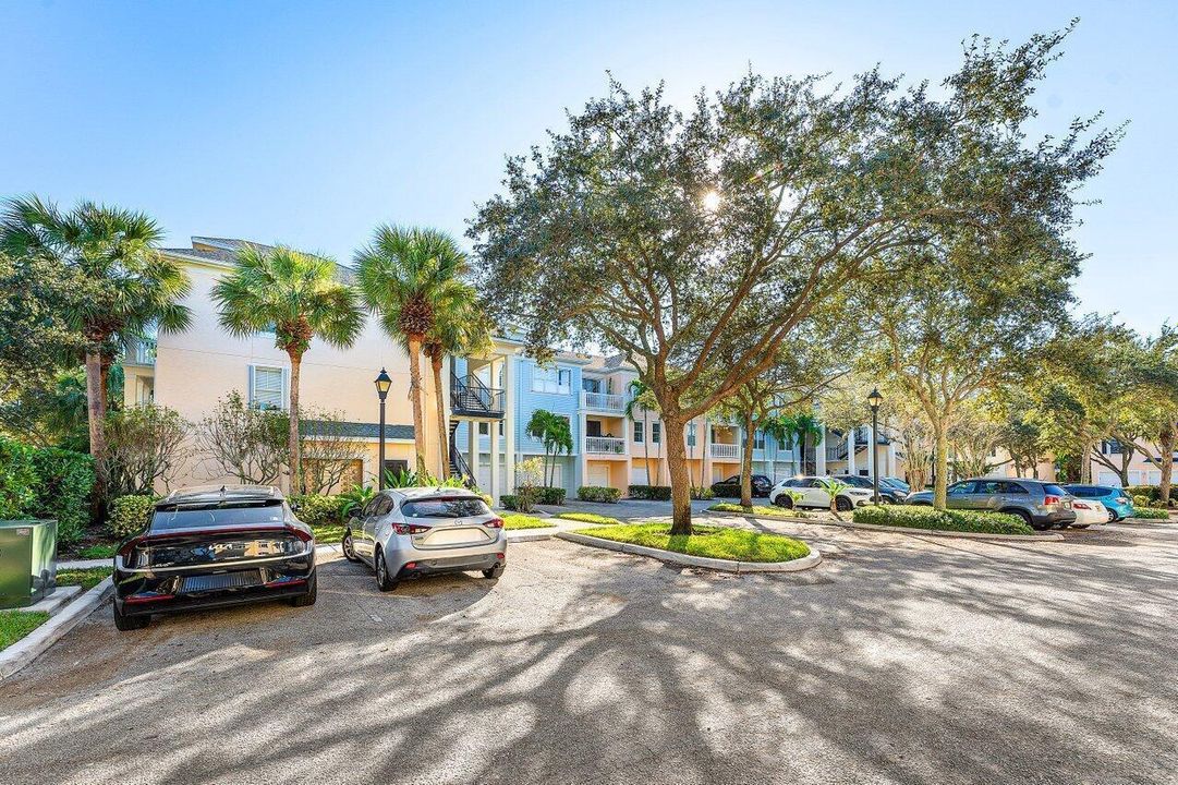 Outside / Parking Lot