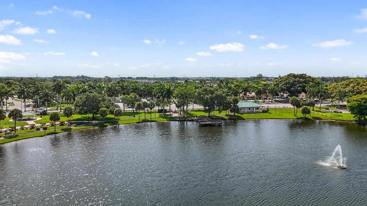 Royal Palm Park Stock 2