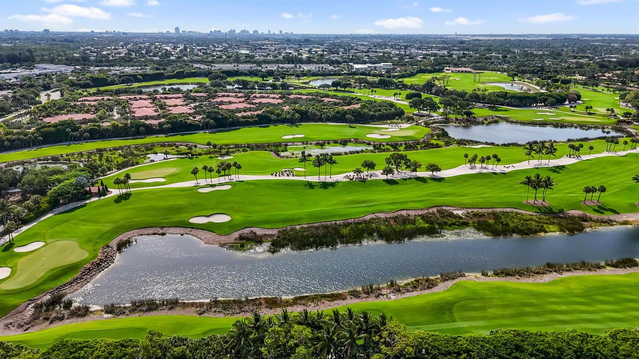 Royal Palm Golfing Stock 1