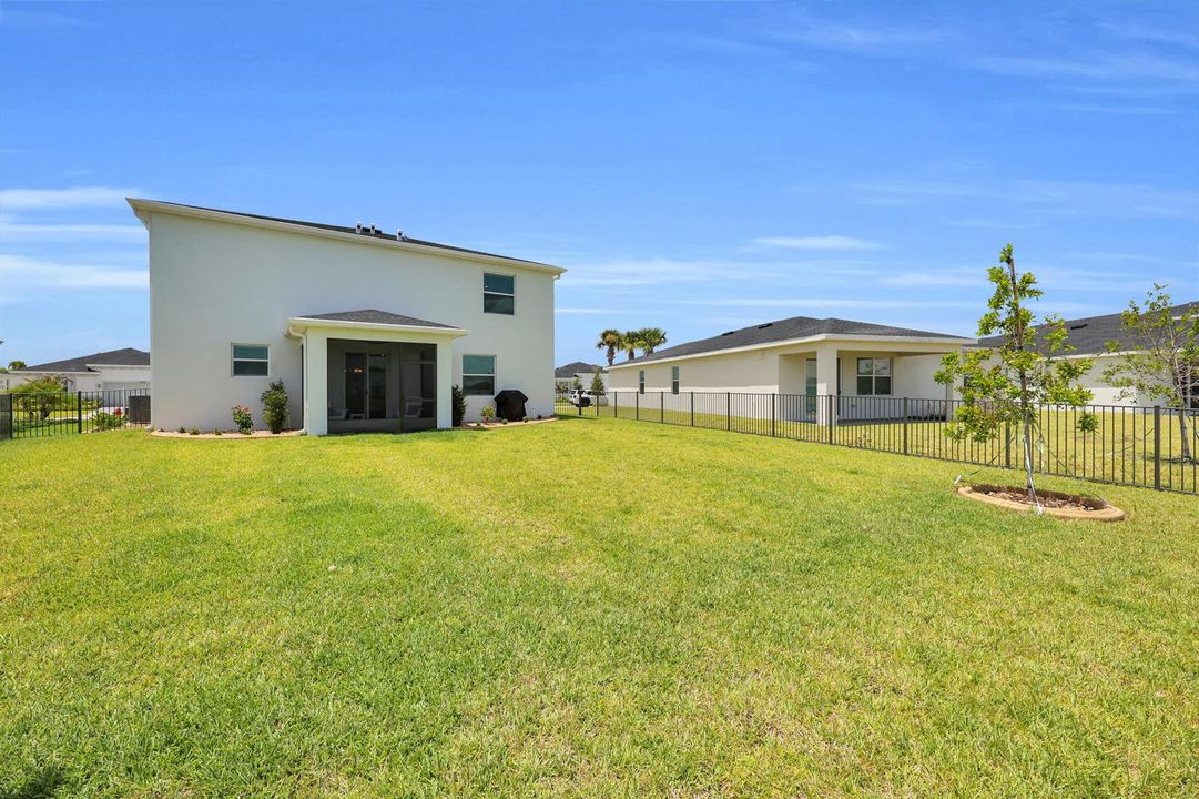Fenced Yard