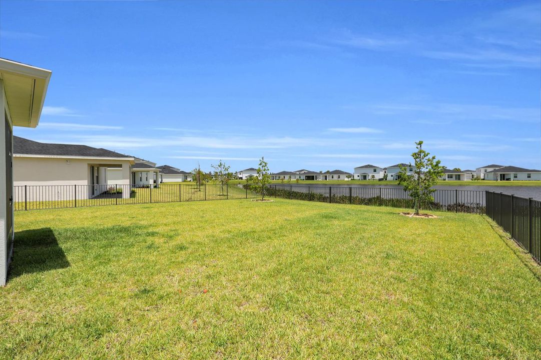 Fenced Yard