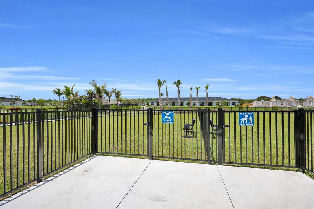 Dog Park