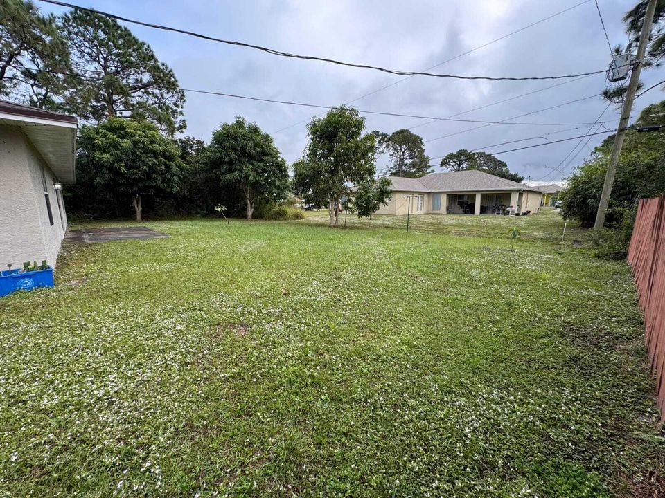 back yard