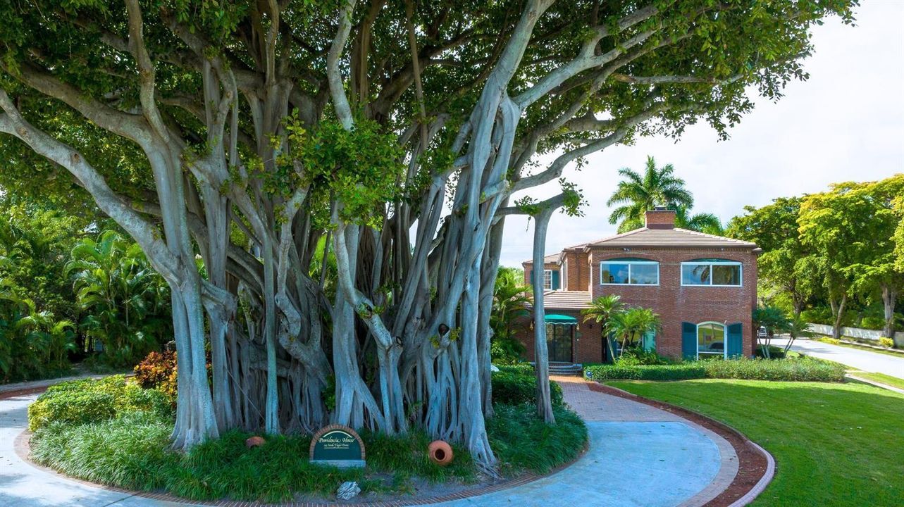 1125 N Flagler Drive